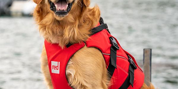 Red Dog Buoyancy Aid