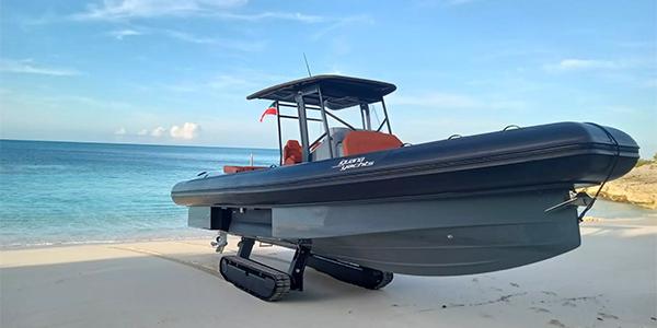 Iguana Rib